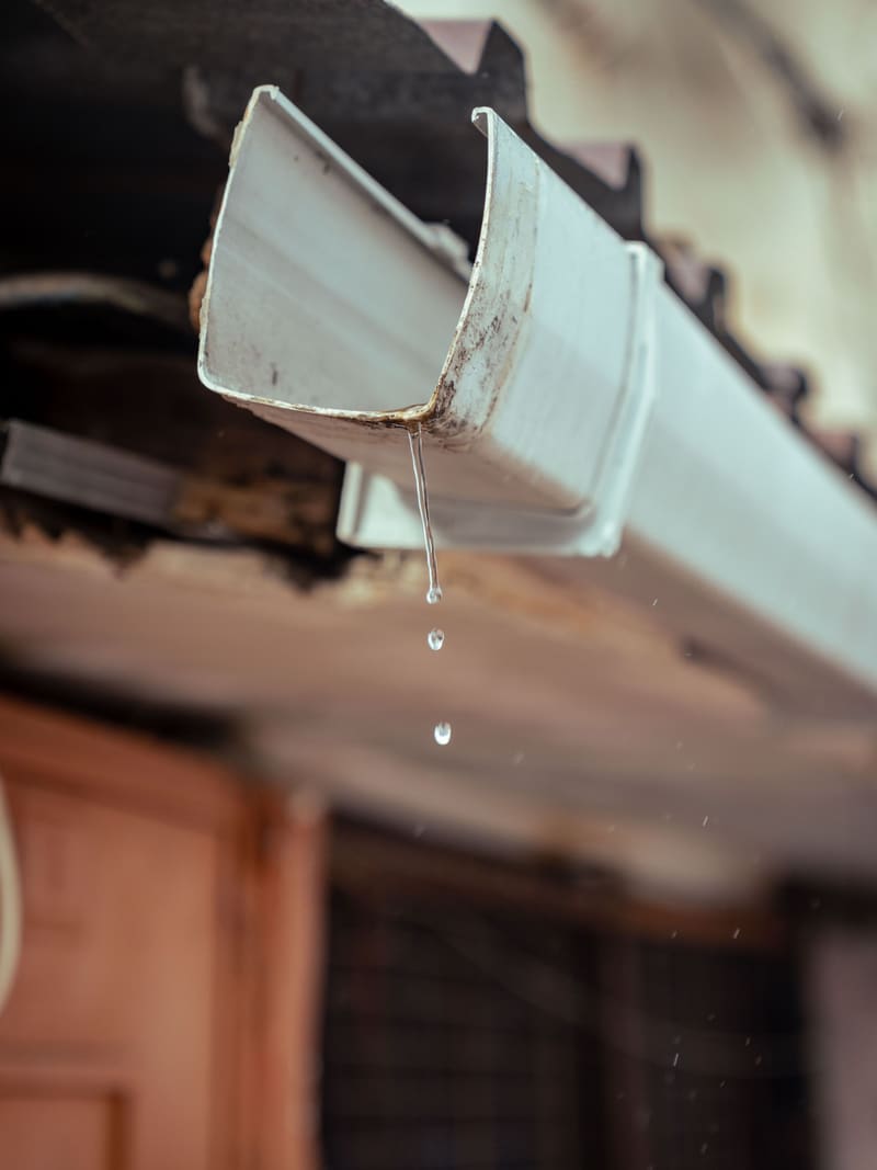 Water dripping from the underside of a house gutter after rain.