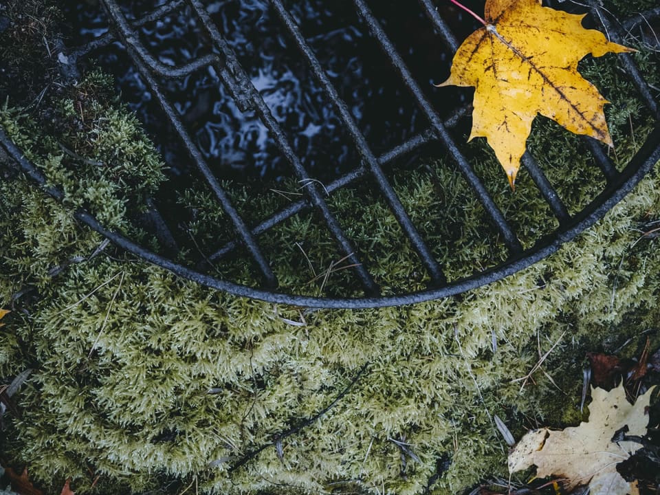 Dead leaves and dried needles packed along a roof edge.